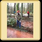 blaetter-6