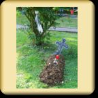 2015/0809-neviges-14