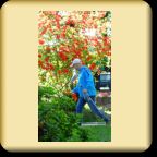 2018/0506-neviges-6